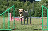 AGILITY - SAUT 109